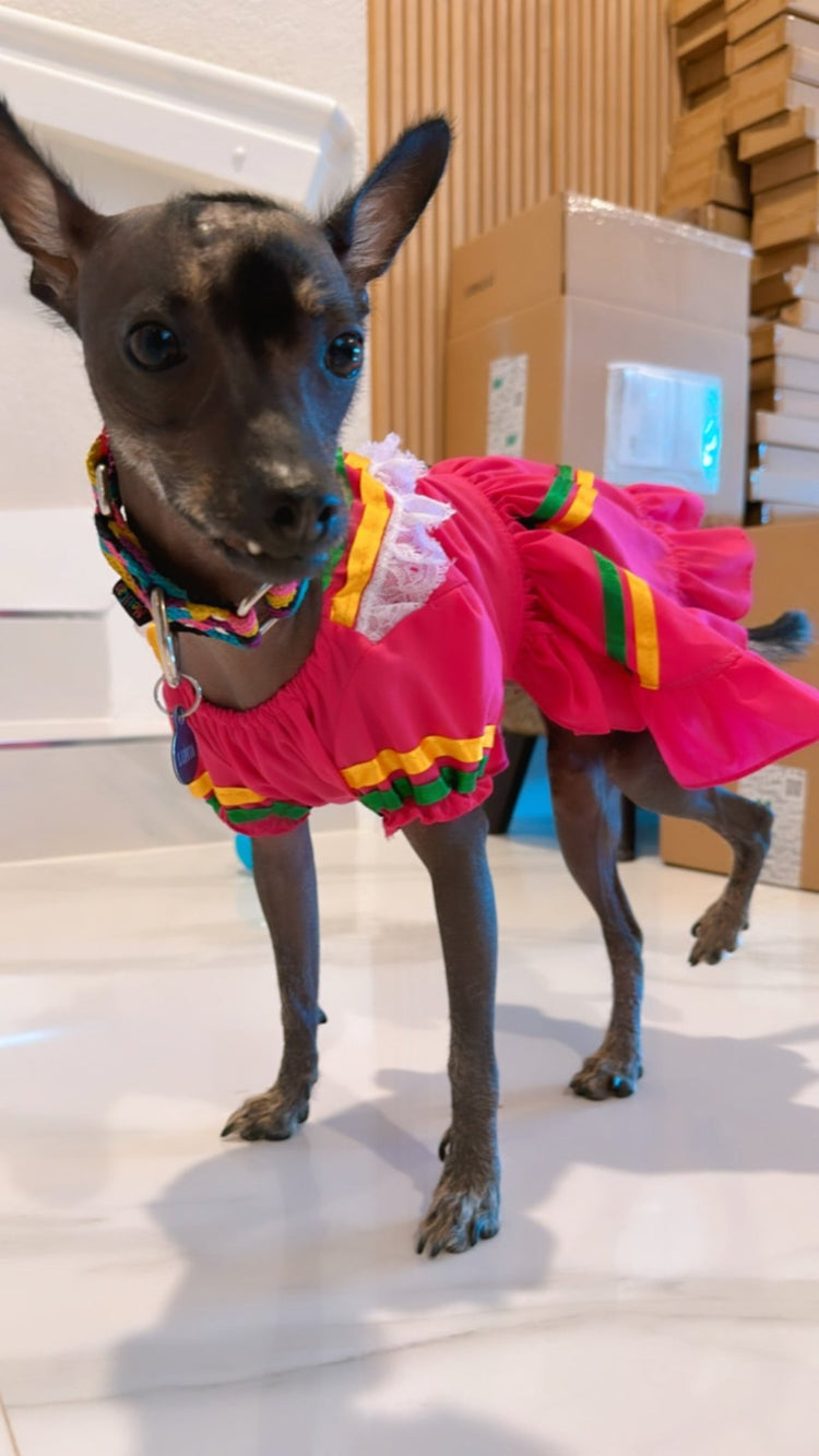 Dog girl Dresses - GueyitaMexicana