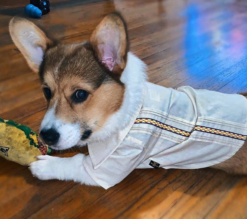 Mexican Beige Guayabera