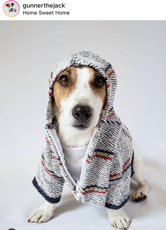 Street style Dog Hoodie