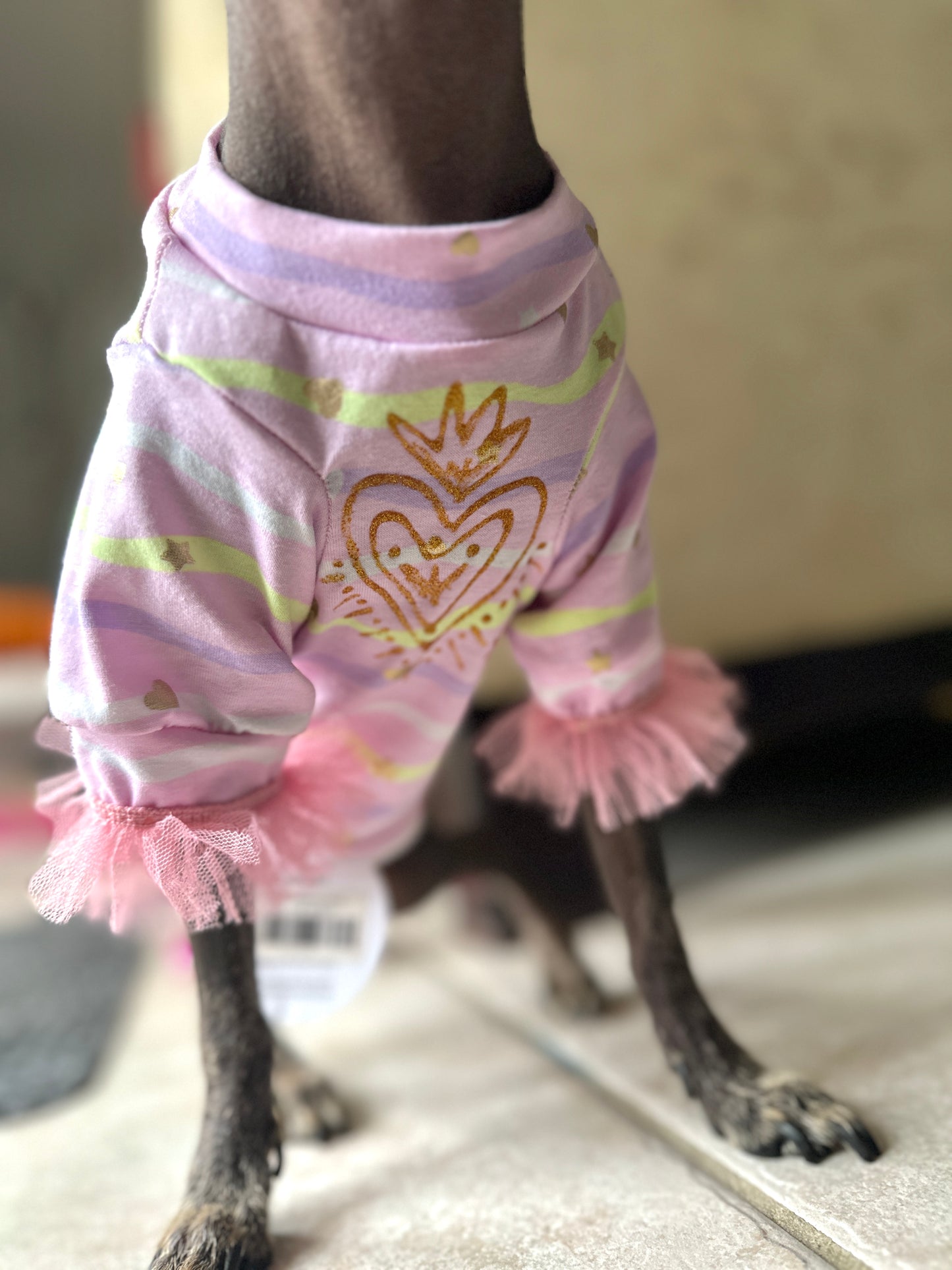 Stylish Valentine dog tees