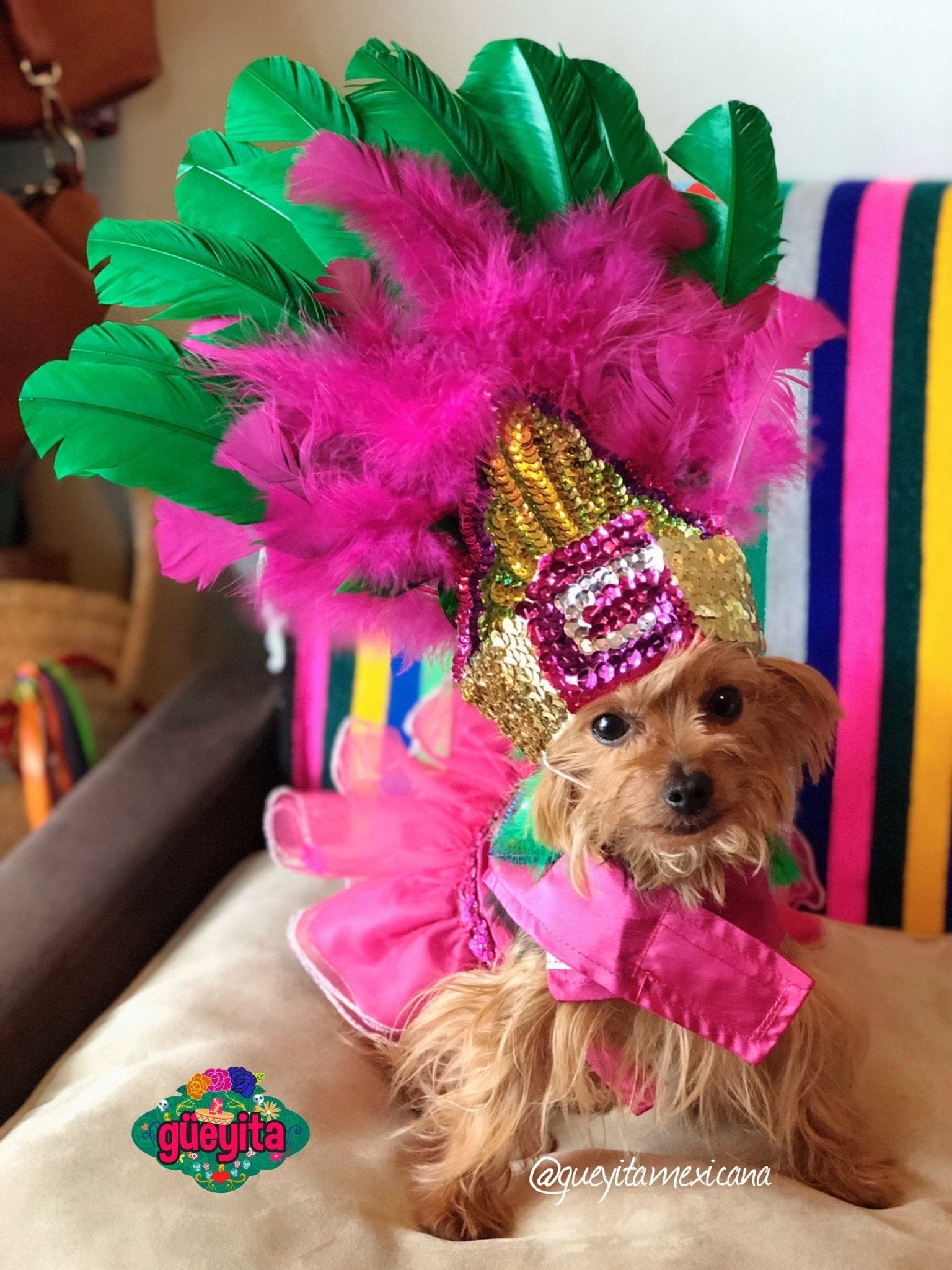 Aztec Dog Princess costume - GueyitaMexicana