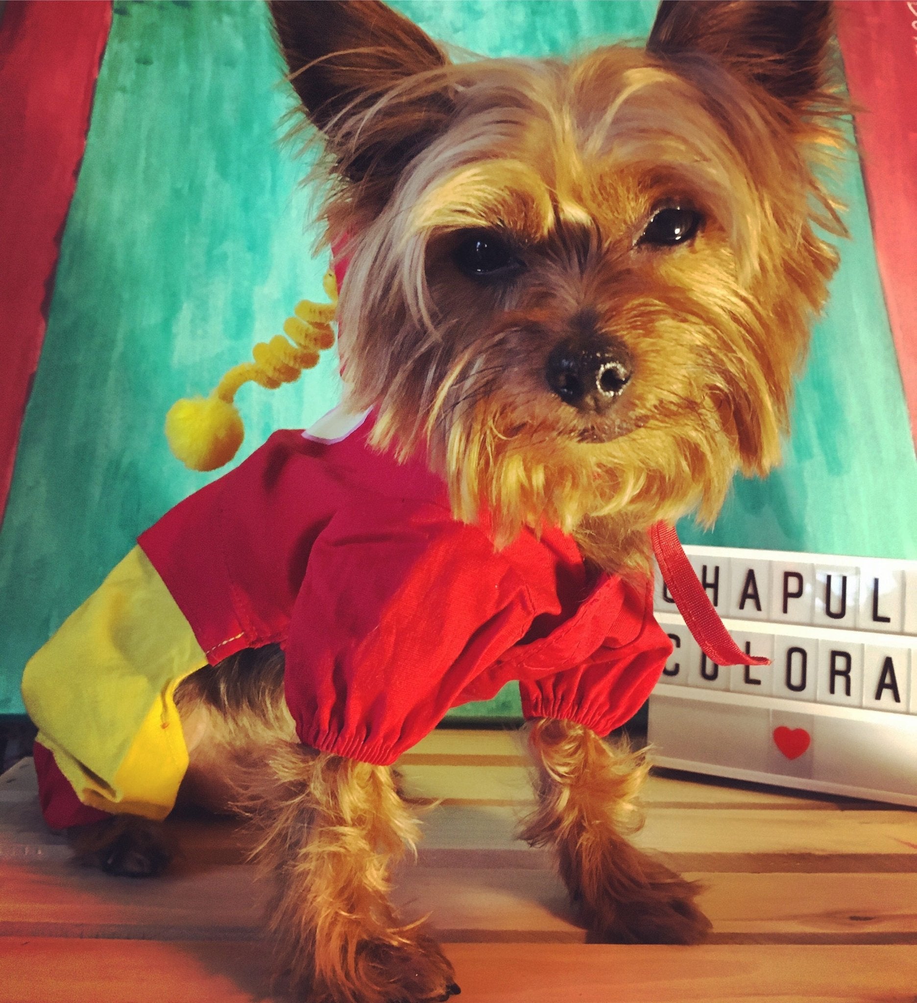 Chapulin Colorado Dog Costume - GueyitaMexicana