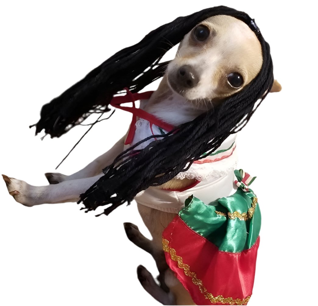 China Poblana Dog girl dress - GueyitaMexicana