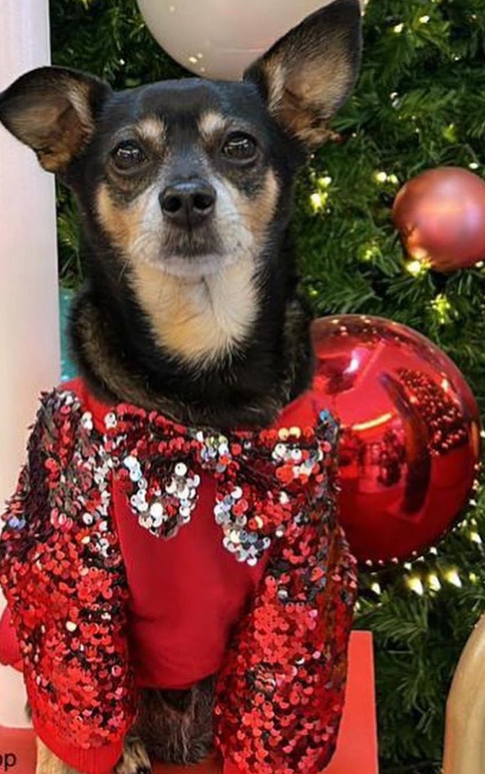 Christmas red sweater - GueyitaMexicana