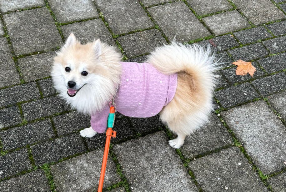 Cozy dog cardigan - GueyitaMexicana