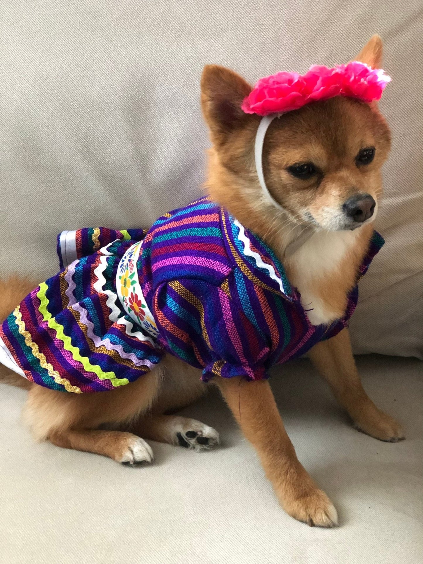 Day of the Dead Dog girl dresss - GueyitaMexicana