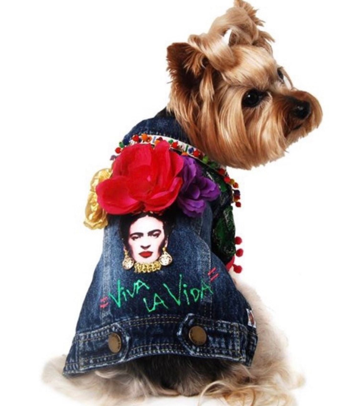 Frida Dog Jacket - GueyitaMexicana