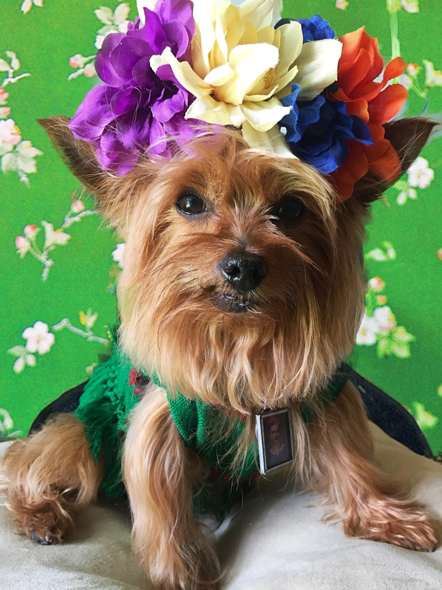 Frida inspired dog costume size small - GueyitaMexicana