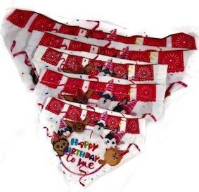 Happy Birthday dog bandanas - GueyitaMexicana