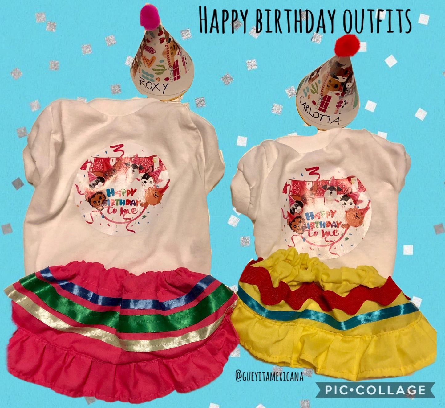 Happy Birthday sets for female dogs - GueyitaMexicana