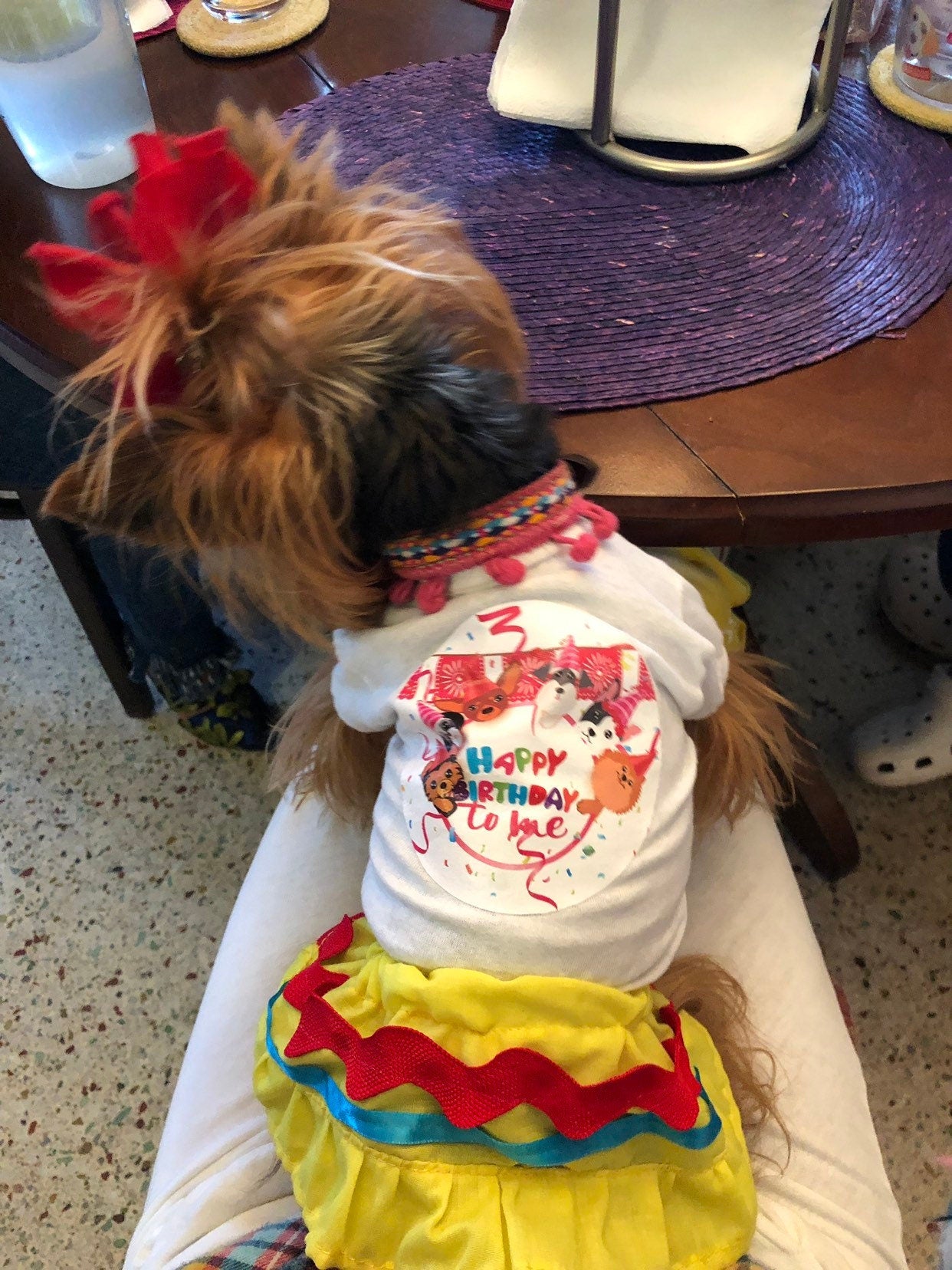 Happy Birthday sets for female dogs - GueyitaMexicana