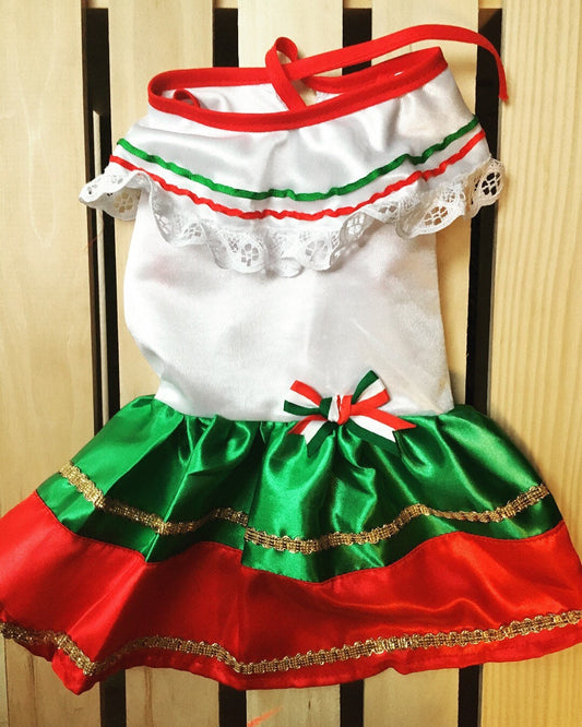 China Poblana Dog girl dress