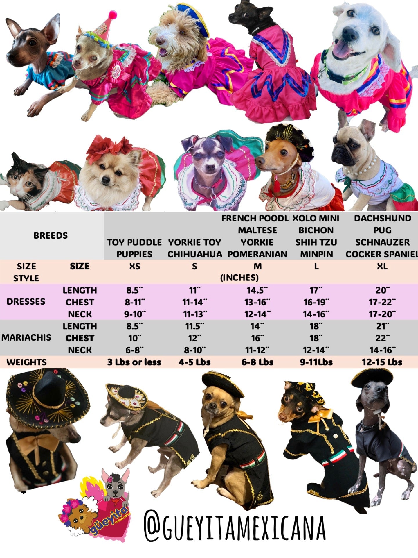 Mariachi Costume for female dog - GueyitaMexicana