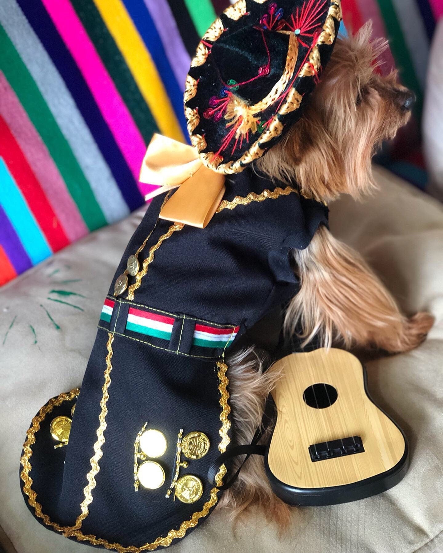 Mariachi Costume for female dog - GueyitaMexicana