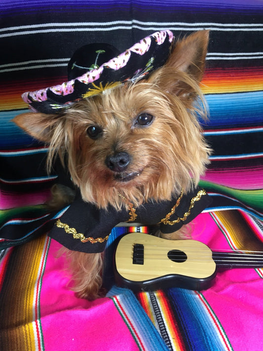 Mariachi Costume for male dogs - GueyitaMexicana