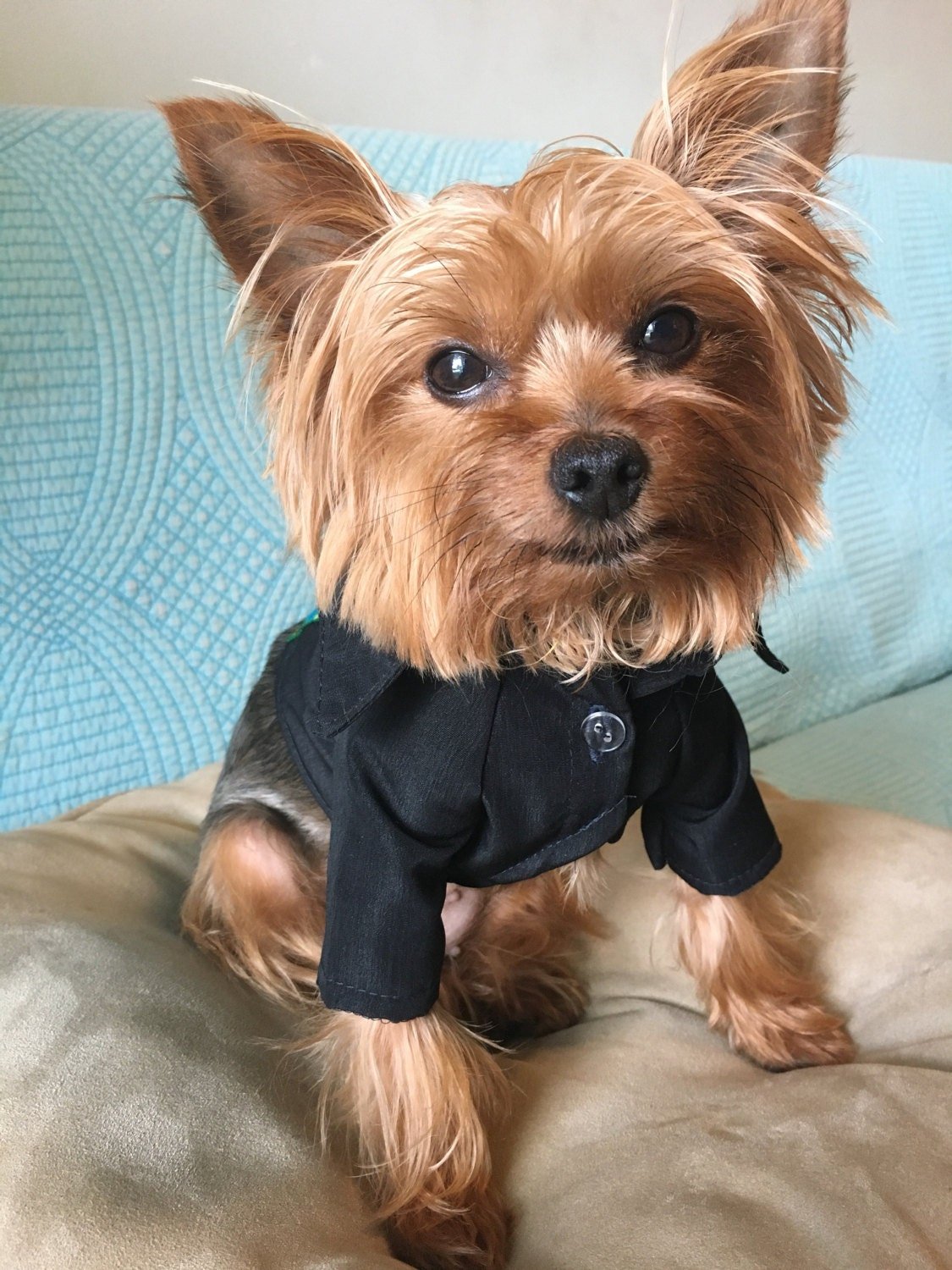 Mexican black Guayabera - GueyitaMexicana