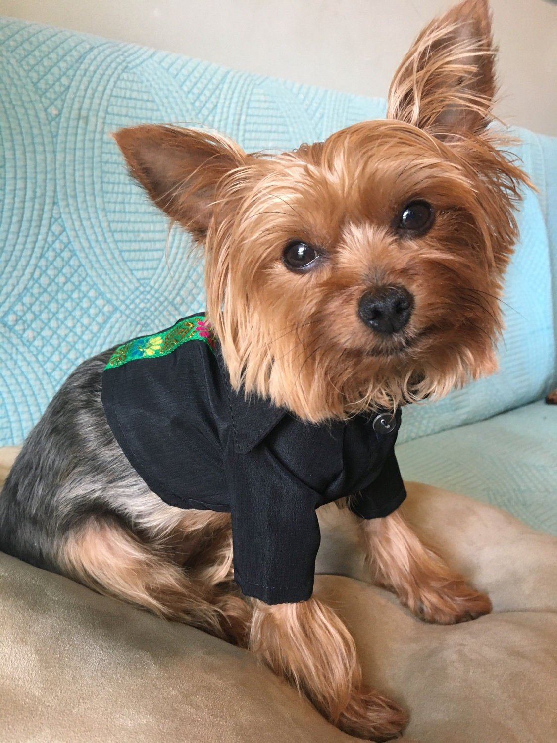 Mexican black Guayabera - GueyitaMexicana