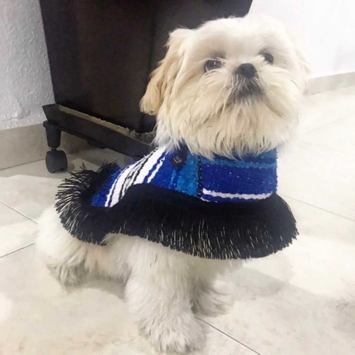 Mexican dog cape/ serape - GueyitaMexicana