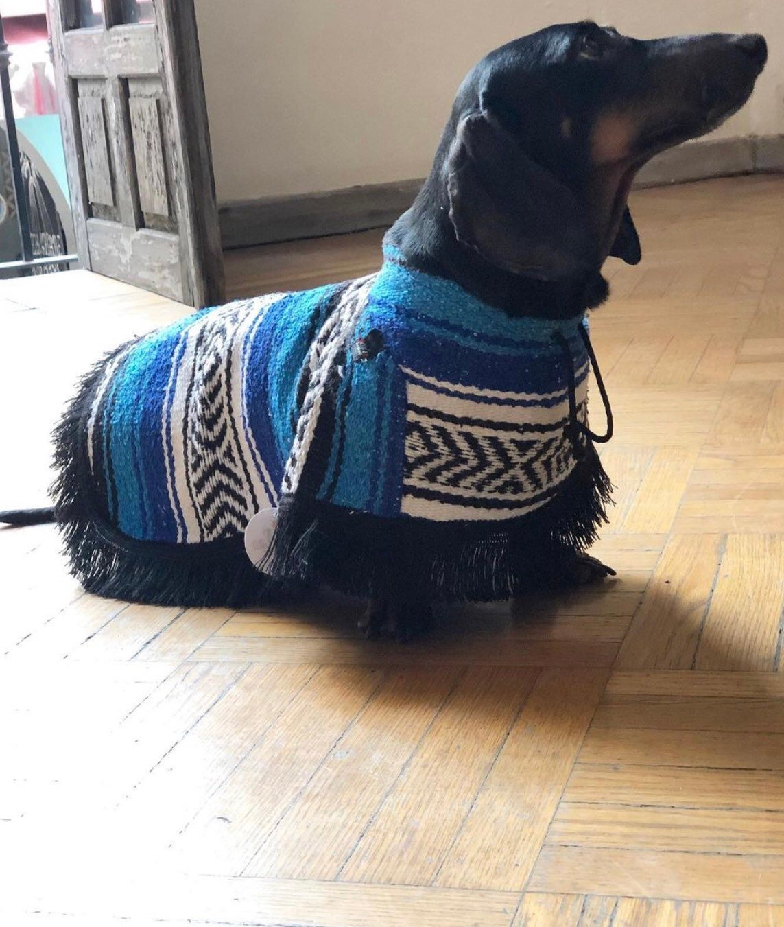 Mexican dog cape/ serape - GueyitaMexicana