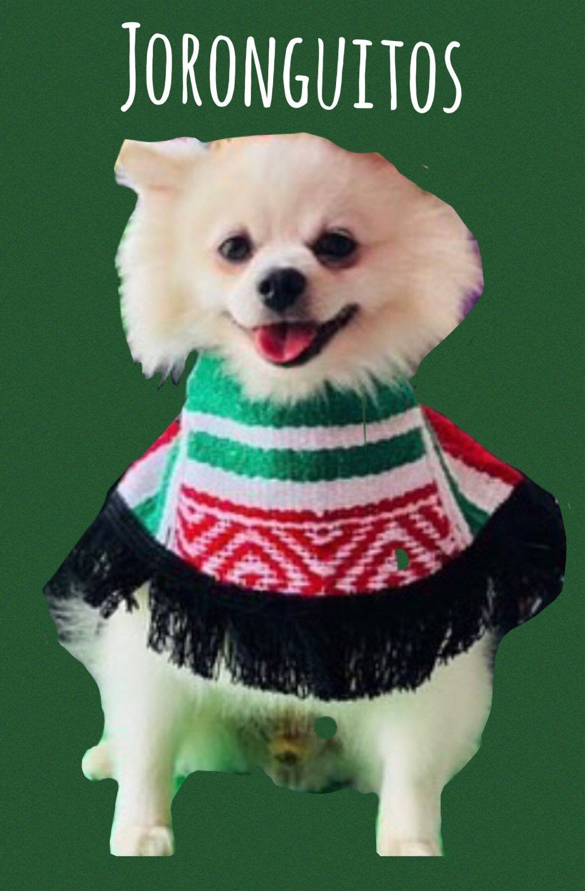 Mexican dog coat - GueyitaMexicana