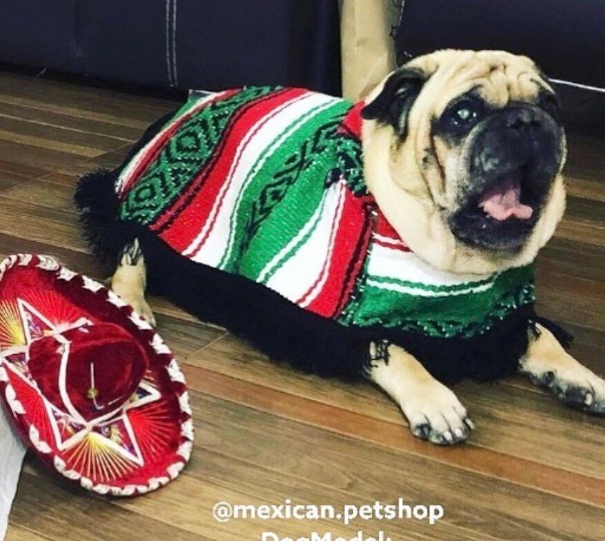 Mexican dog coat - GueyitaMexicana