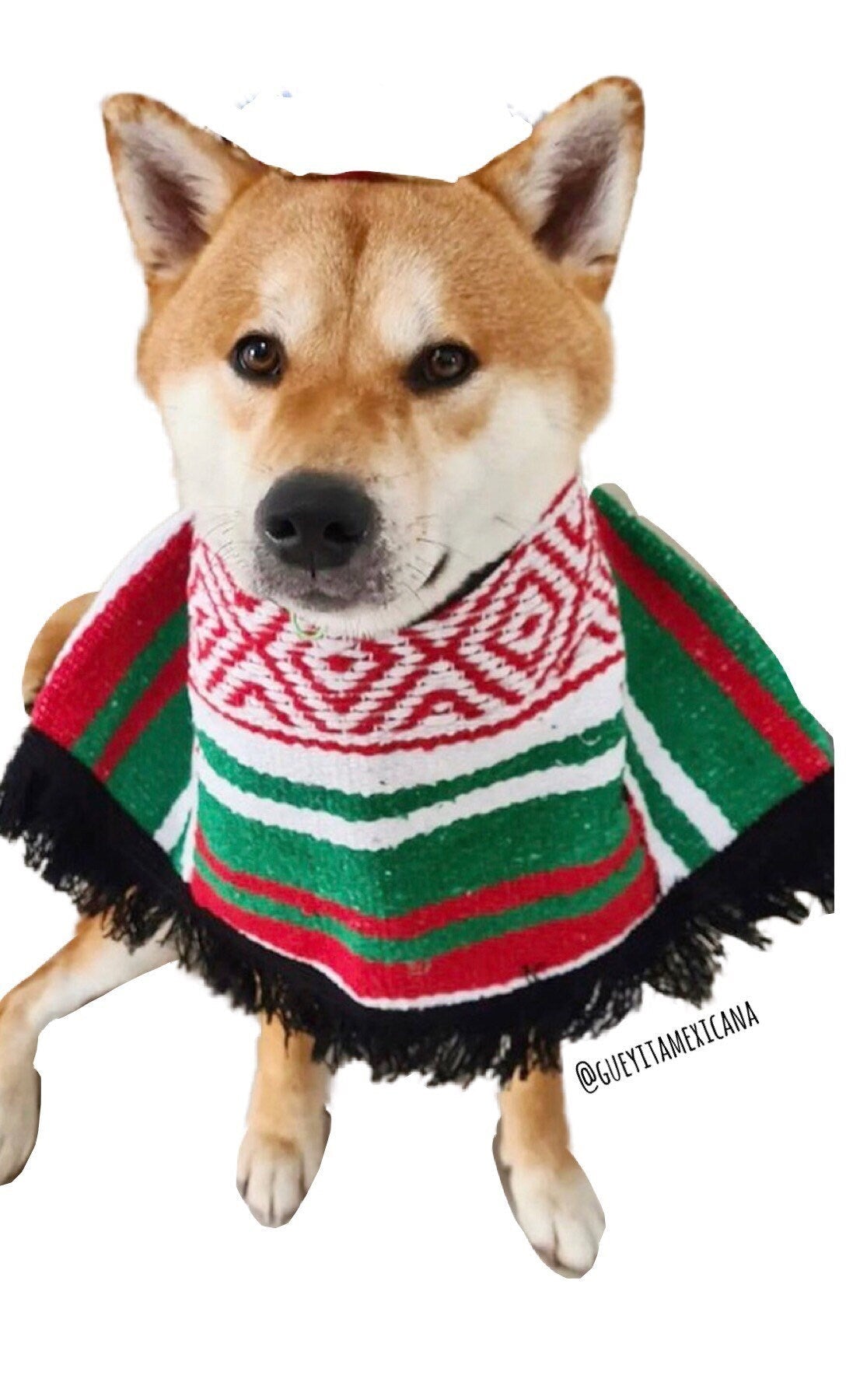 Mexican dog coat - GueyitaMexicana