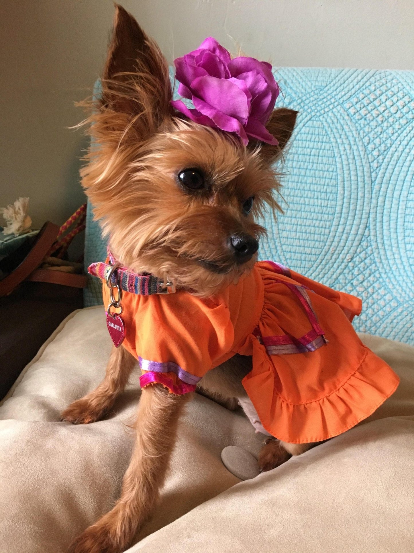 Mexican Dog girl dress - GueyitaMexicana