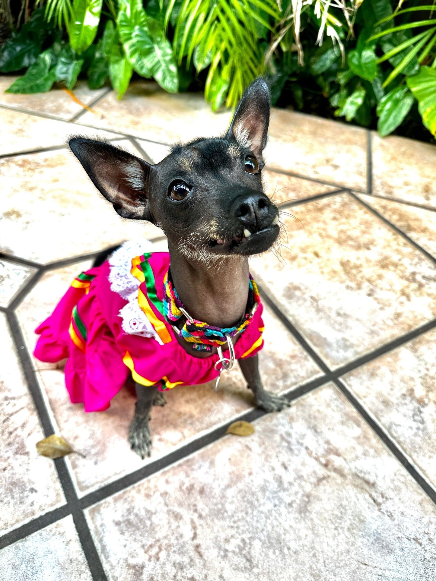 Mexican Dog girl dress - GueyitaMexicana