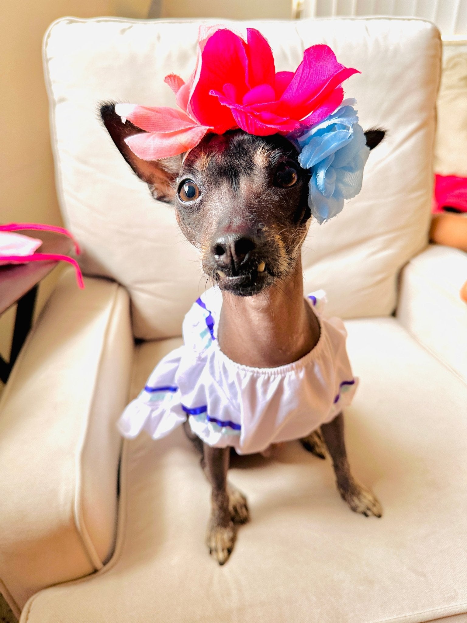 Mexican Dog girl dress - GueyitaMexicana