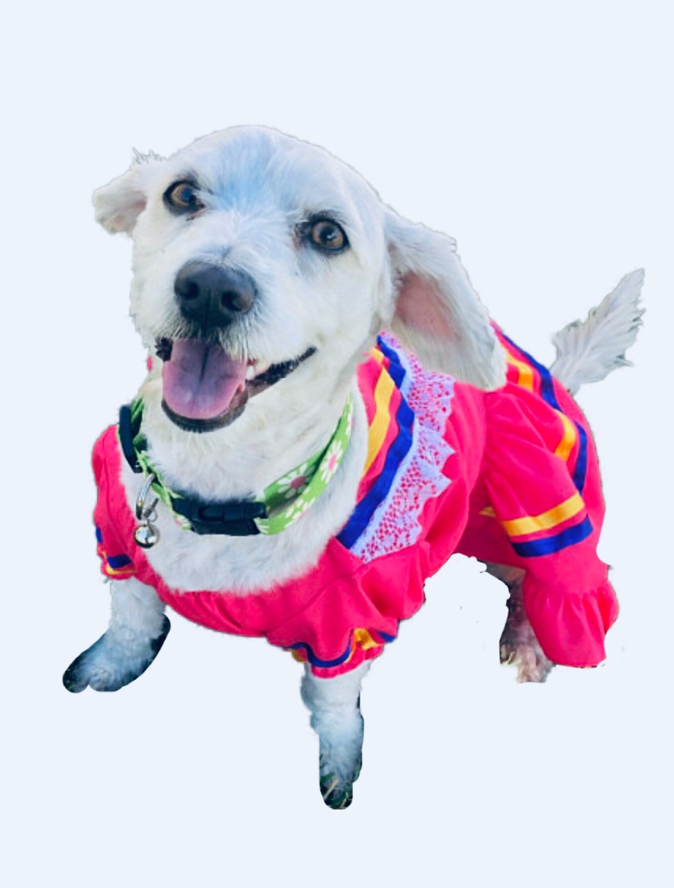 Mexican Dog girl dress - GueyitaMexicana