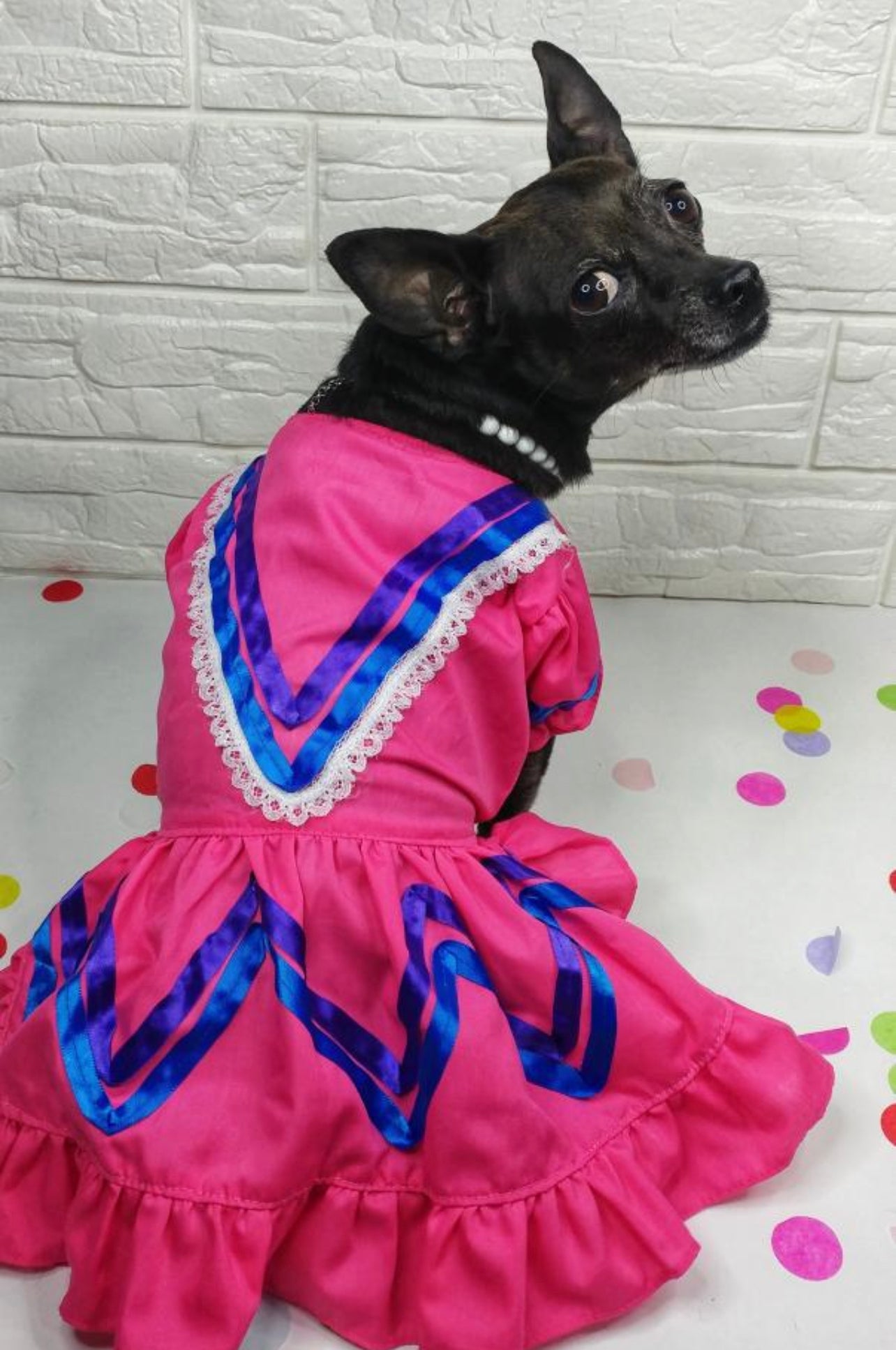 Mexican Dog girl dress - GueyitaMexicana