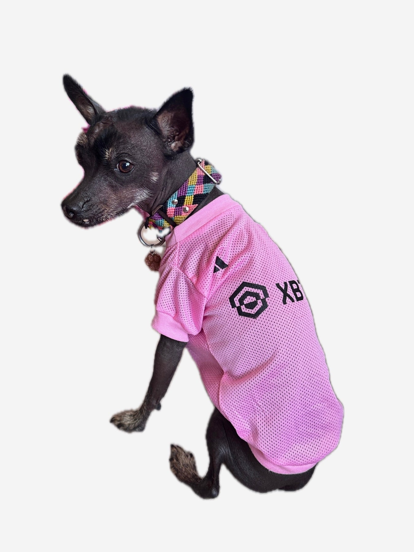 Miami Dog Jersey - GueyitaMexicana