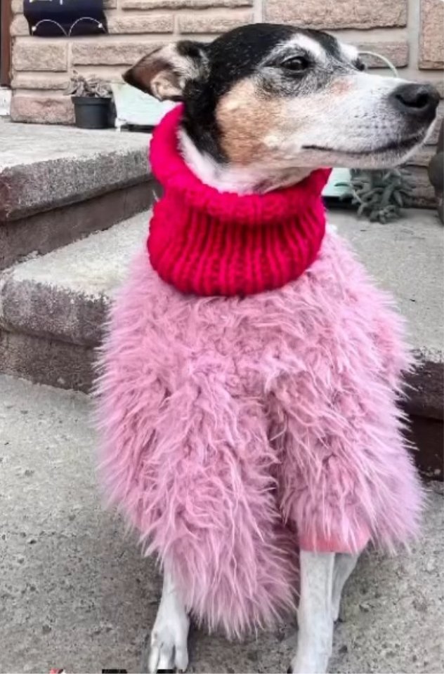 Pink fluffy dog sweater - GueyitaMexicana