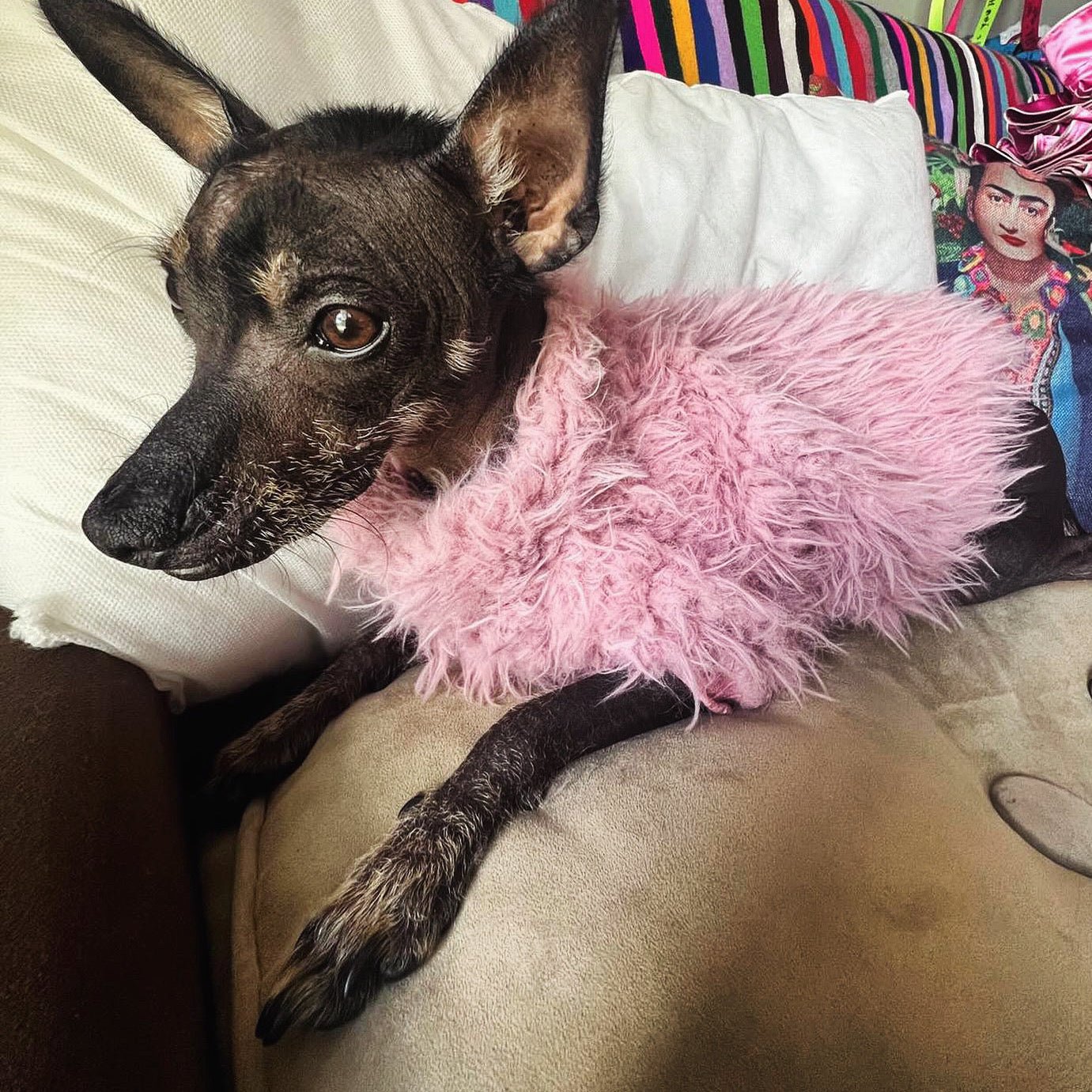 Pink fluffy dog sweater - GueyitaMexicana