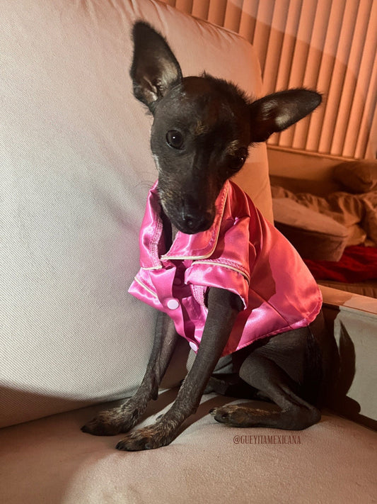 Pink silk PJ's for dogs - GueyitaMexicana