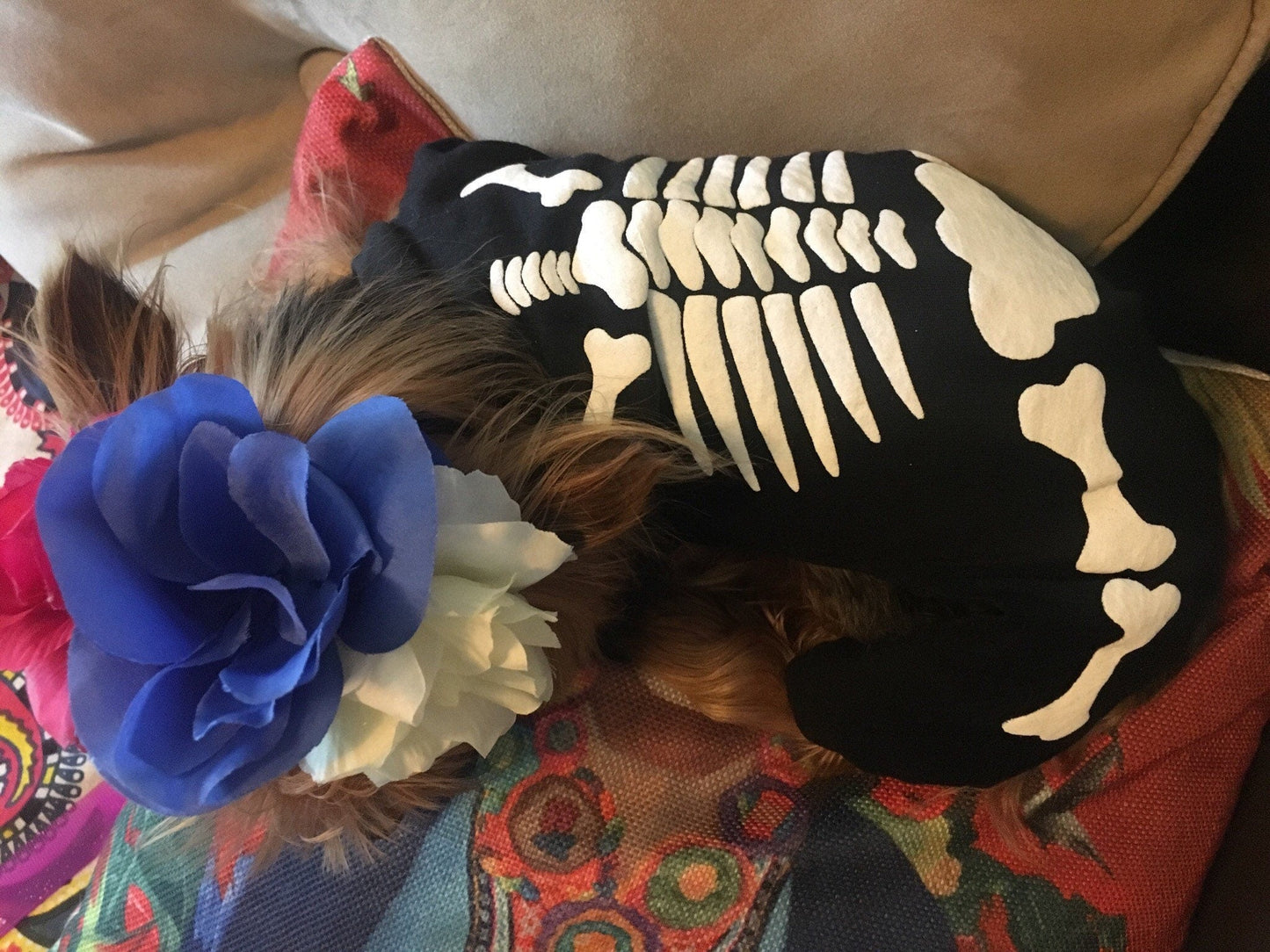 Skeleton dog costume - GueyitaMexicana