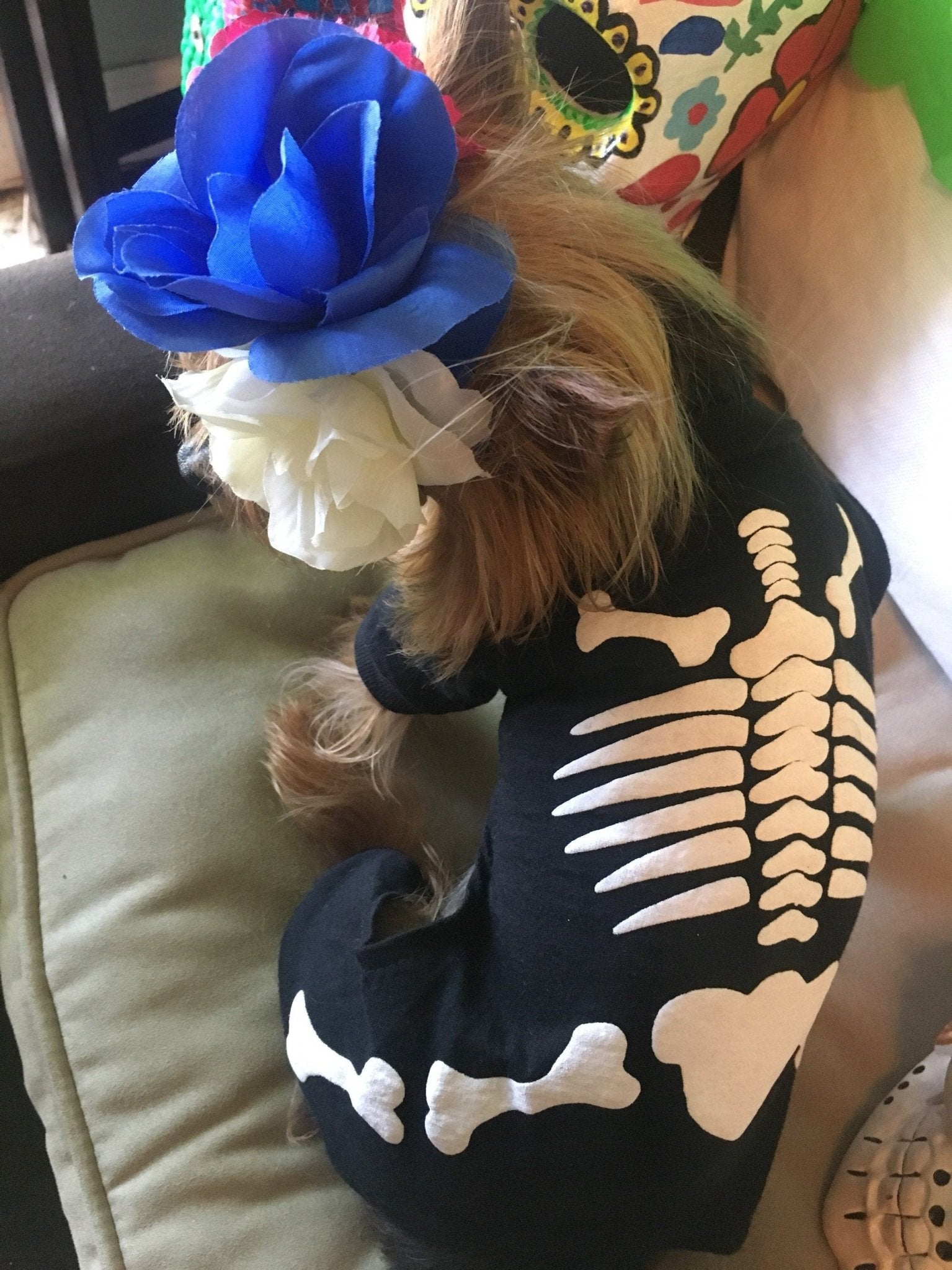 Skeleton dog costume - GueyitaMexicana