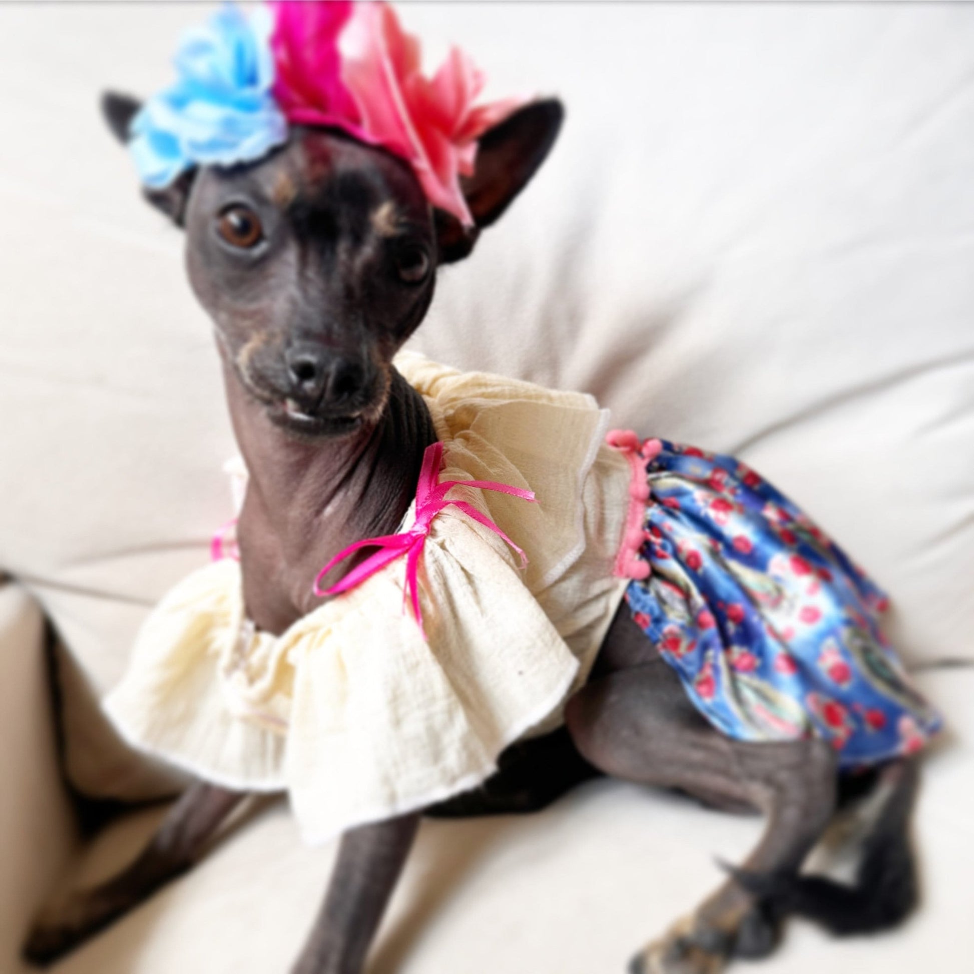 Virgin of Guadalupe Dog Dress - GueyitaMexicana