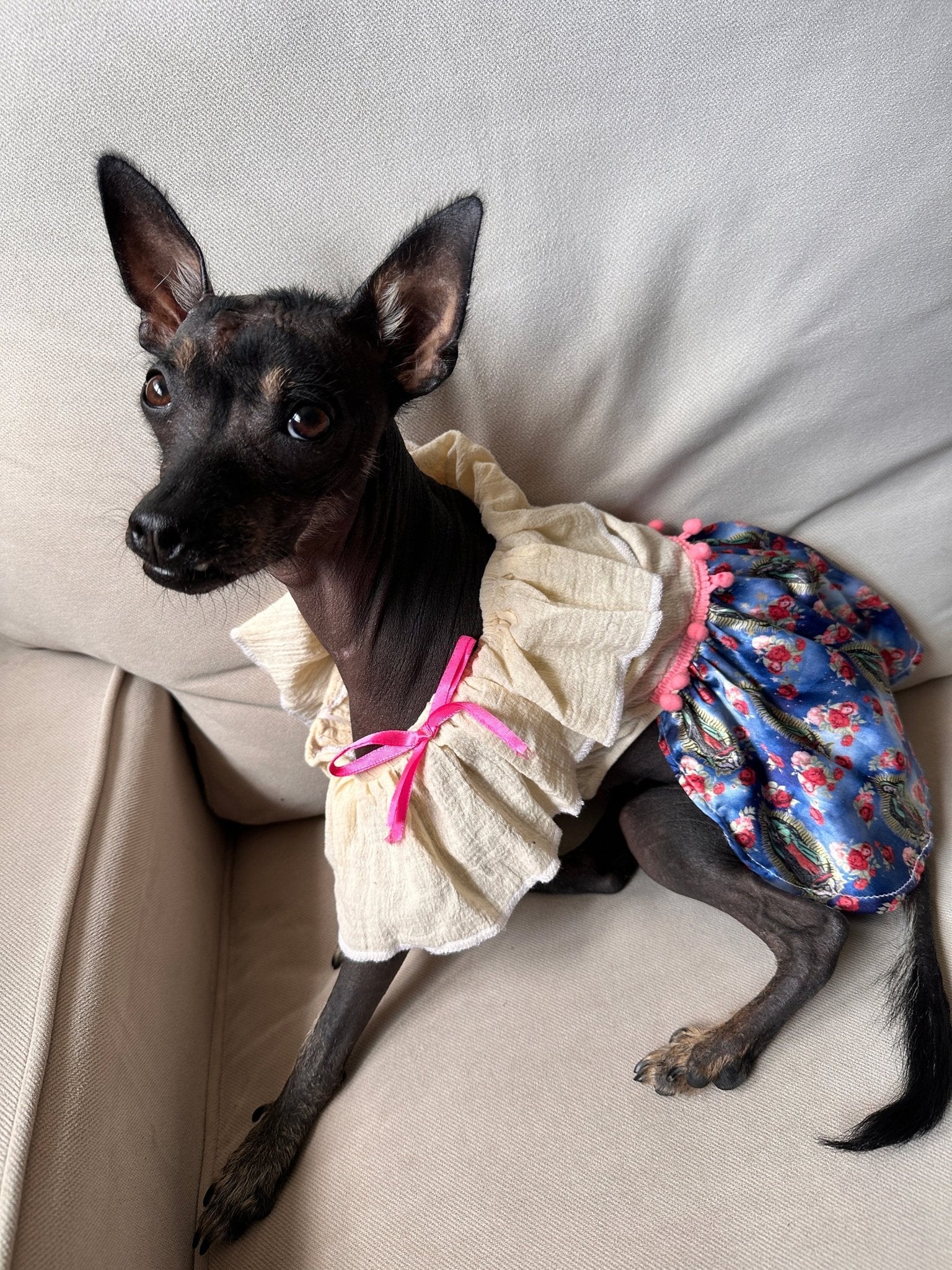 Virgin of Guadalupe Dog Dress - GueyitaMexicana